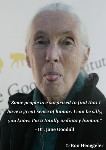 Vídeo de liberación de un chimpancé inteligente. Jane Goodall